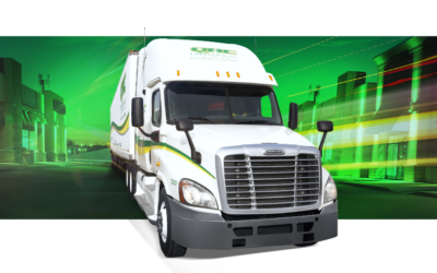 Adapt to the New World of Business with 3PL